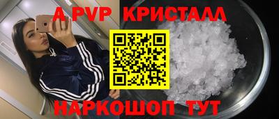 шишки Дубна