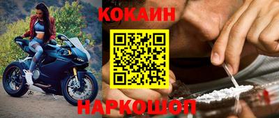 шишки Дубна