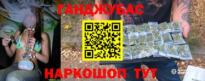 шишки Дубна