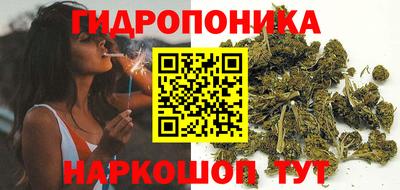 шишки Дубна