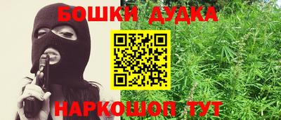 шишки Дубна