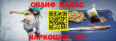 шишки Дубна