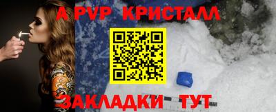 шишки Дубна